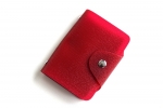 BRIGHT Pouzdro na vizitky Bordo/T�pitiv� lesk