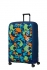mix barev (mixed colors)