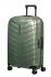 zelen� (green)
