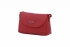 �erven� (red)