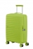zelen� (green)