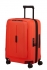 �erven� (red)