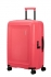 r��ov� (pink)
